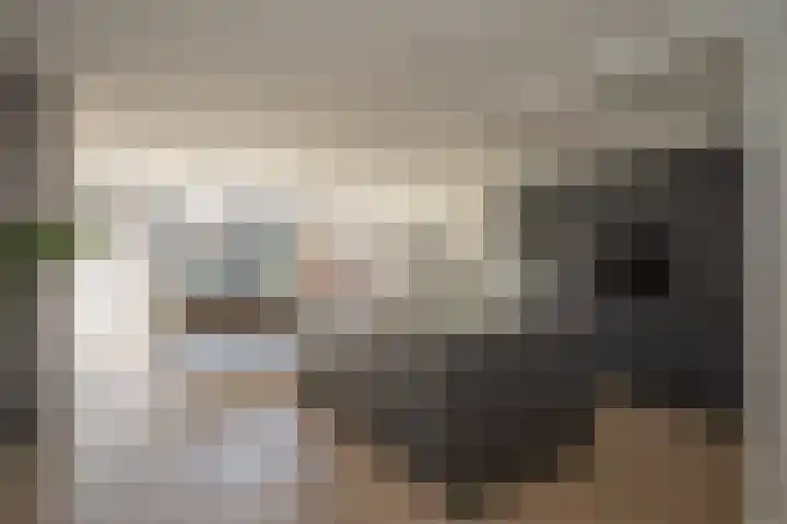 Iepenlaan 5 Wierden thumbnail 16