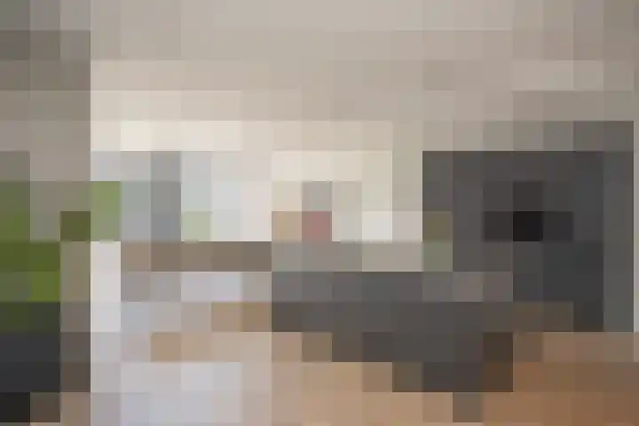 Iepenlaan 5 Wierden thumbnail 17