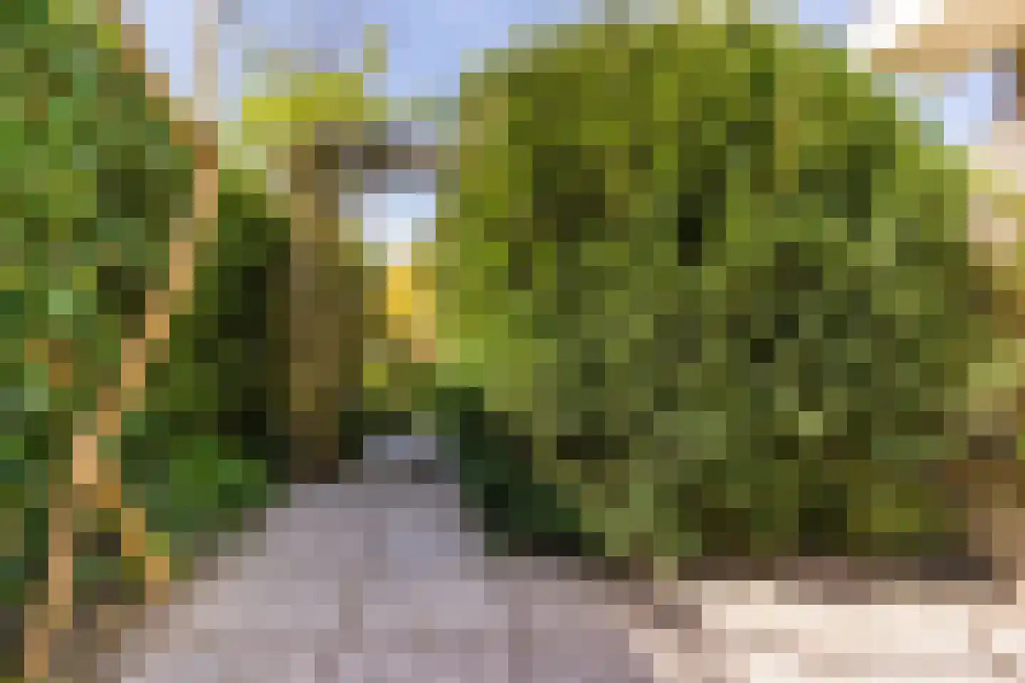 Iepenlaan 5 Wierden thumbnail 18