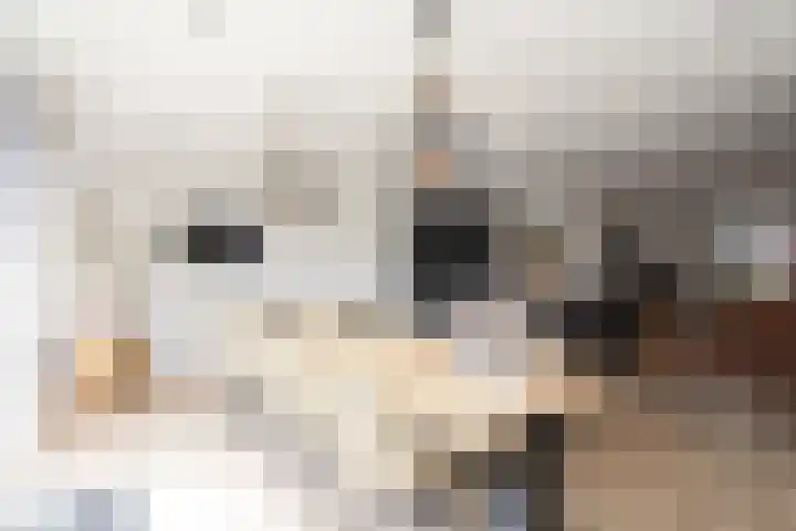 Iepenlaan 5 Wierden thumbnail 21