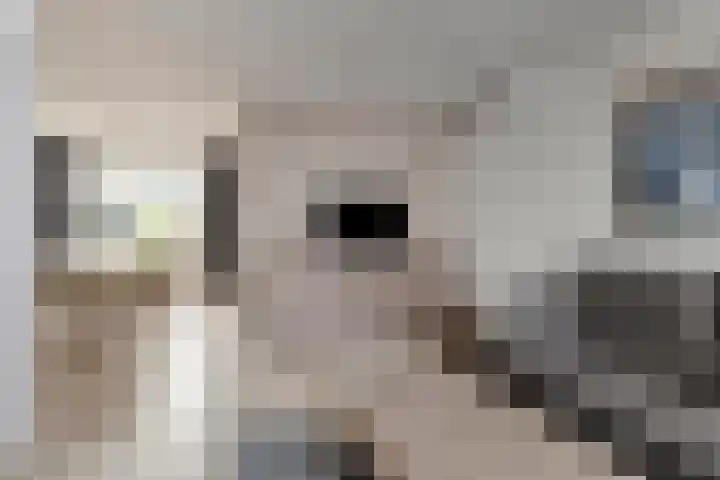 Iepenlaan 5 Wierden thumbnail 26