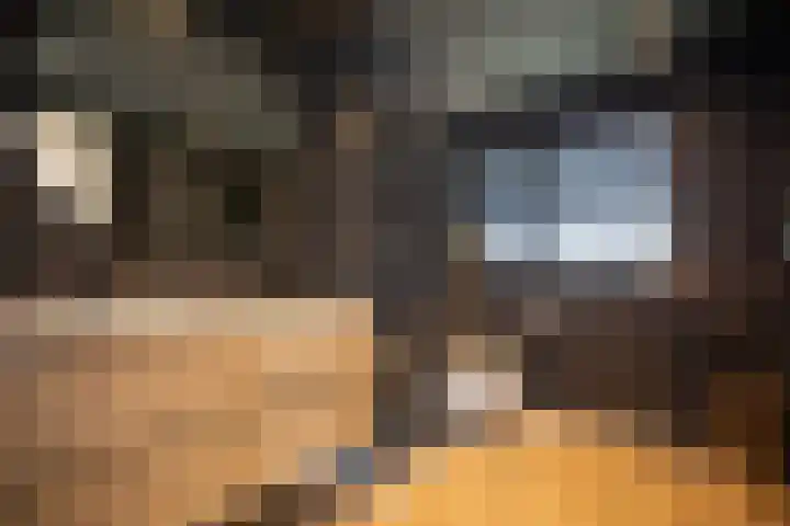 Iepenlaan 5 Wierden thumbnail 39