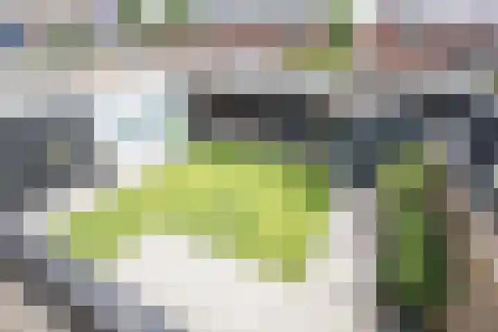 Iepenlaan 5 Wierden thumbnail 55