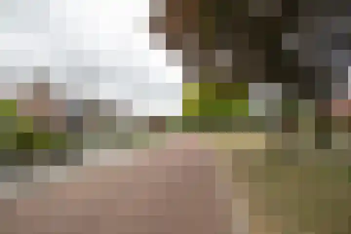 Iepenlaan 5 Wierden thumbnail 70
