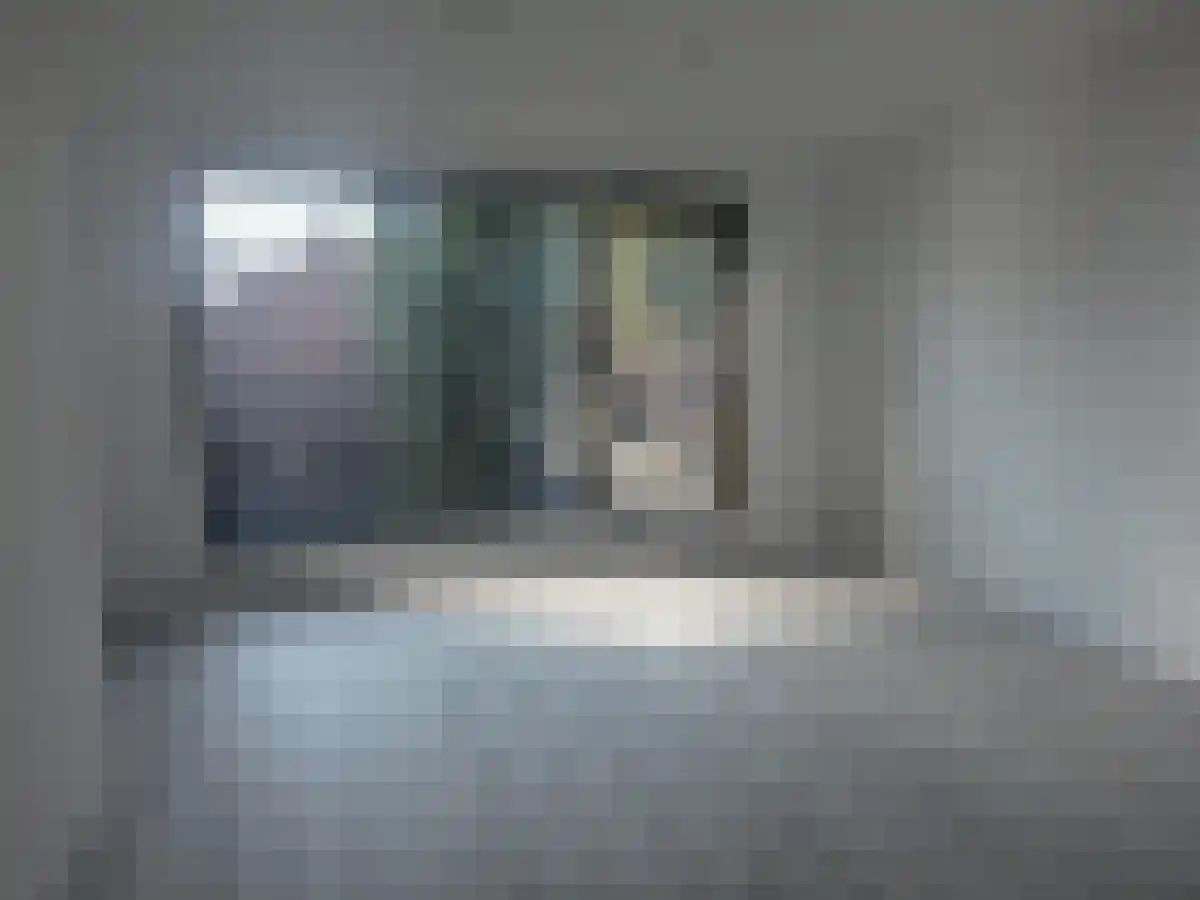 Iepenlaan 51 Eindhoven thumbnail 4