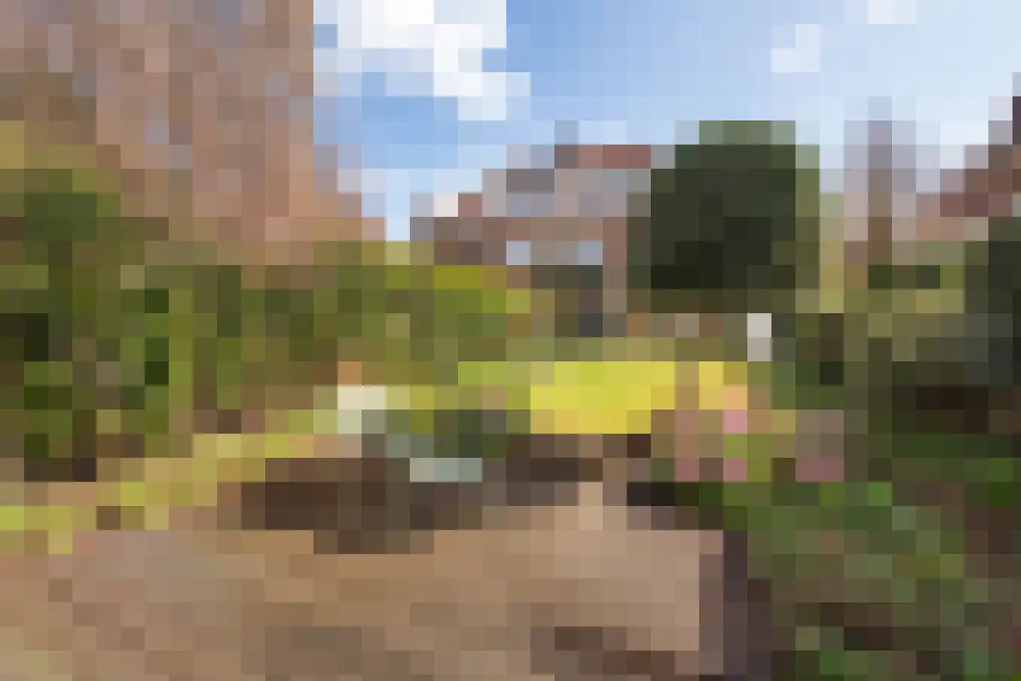 Iepenlaan 53 Bloemendaal thumbnail 20