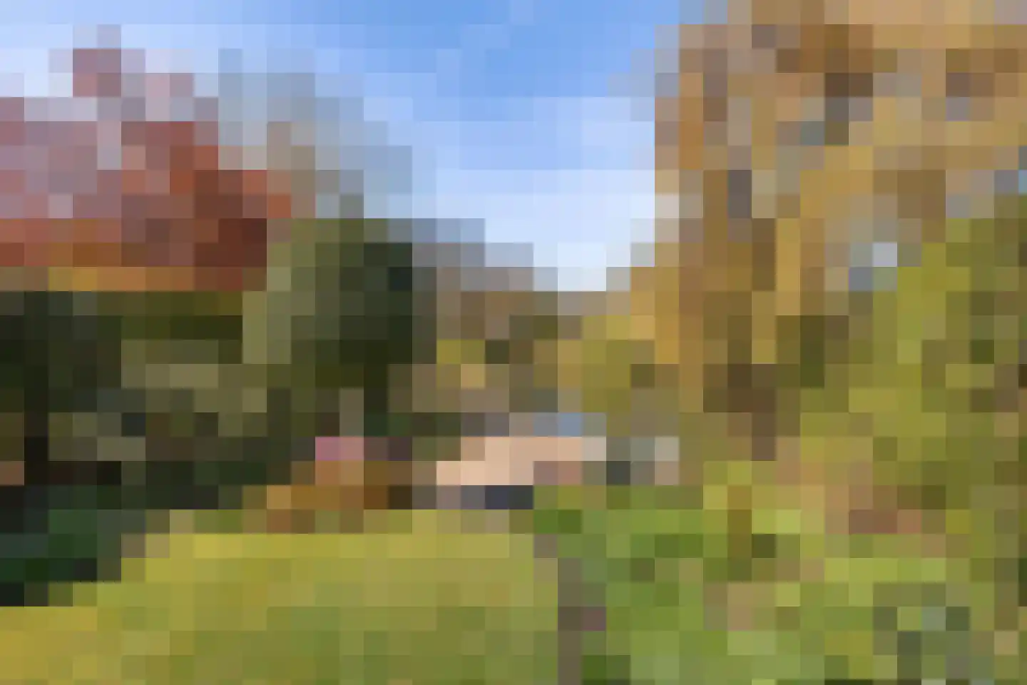 Iepenlaan 53 Bloemendaal thumbnail 21