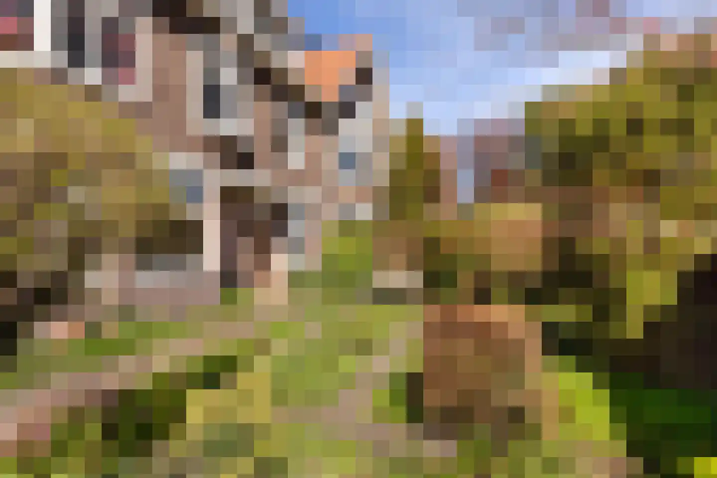 Iepenlaan 53 Bloemendaal thumbnail 24