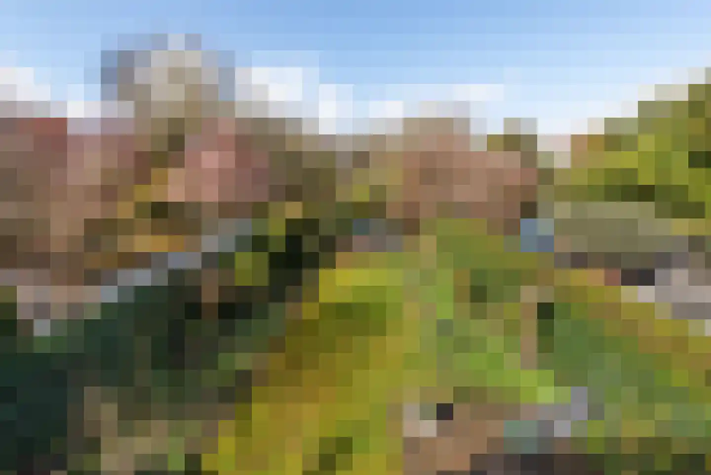 Iepenlaan 53 Bloemendaal thumbnail 28