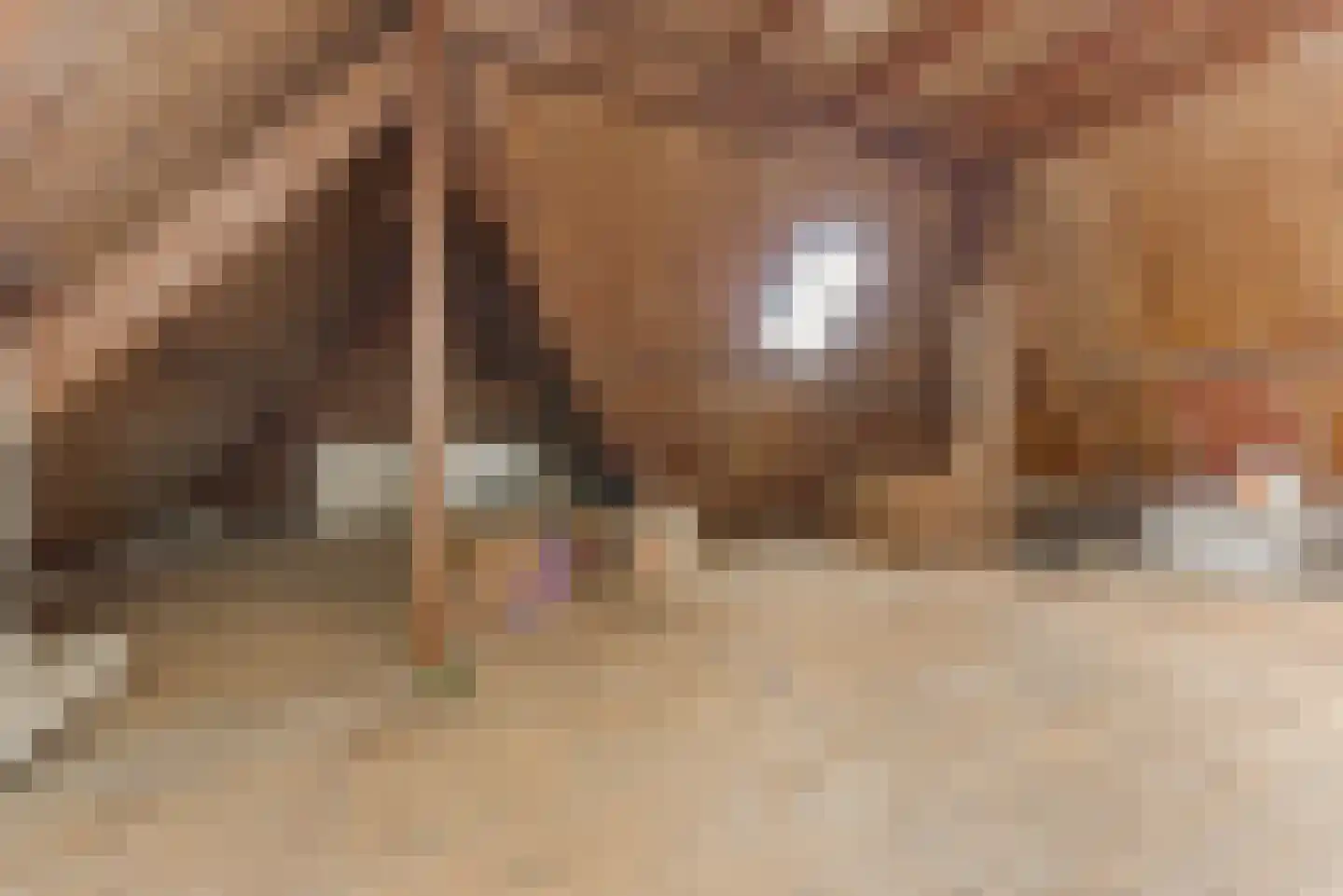 Iepenlaan 53 Bloemendaal thumbnail 44
