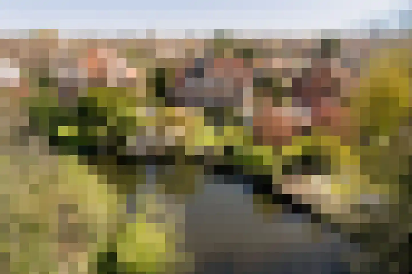Iepenlaan 53 Bloemendaal thumbnail 45