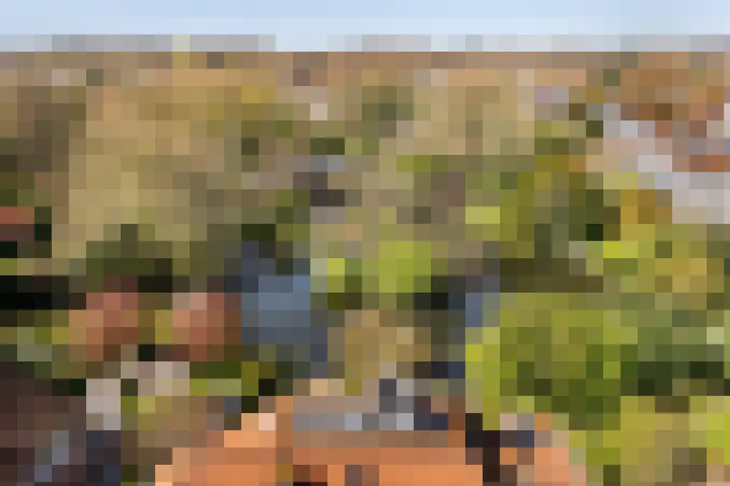 Iepenlaan 53 Bloemendaal thumbnail 46