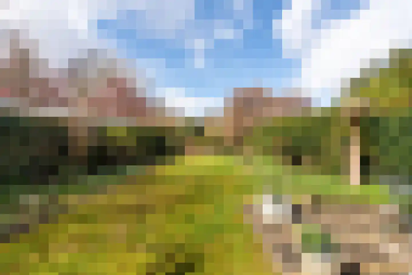 Iepenlaan 53 Bloemendaal thumbnail 48