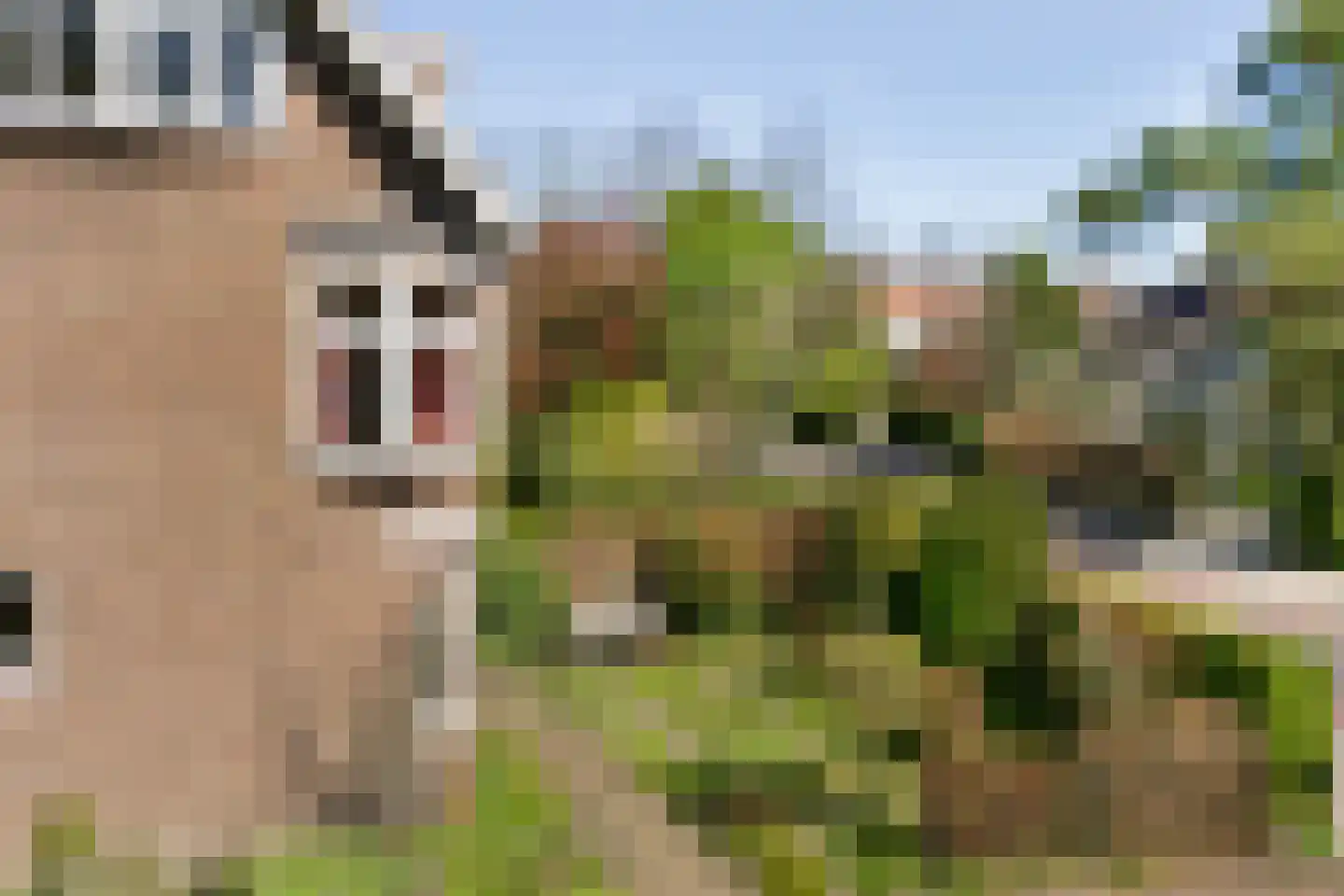 Iepenlaan 53 Bloemendaal thumbnail 50