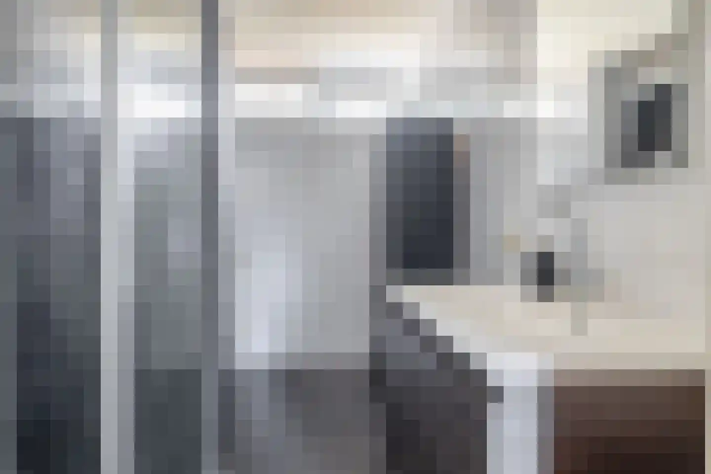 Iepenlaan 53 Stadskanaal thumbnail 31