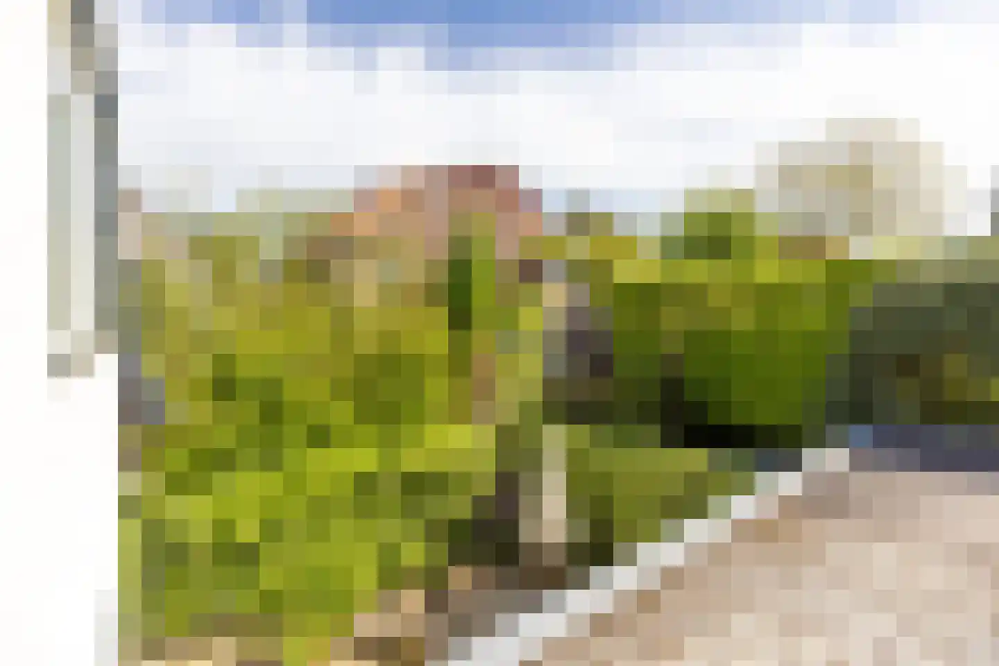 Iepenlaan 55 Bussum thumbnail 28