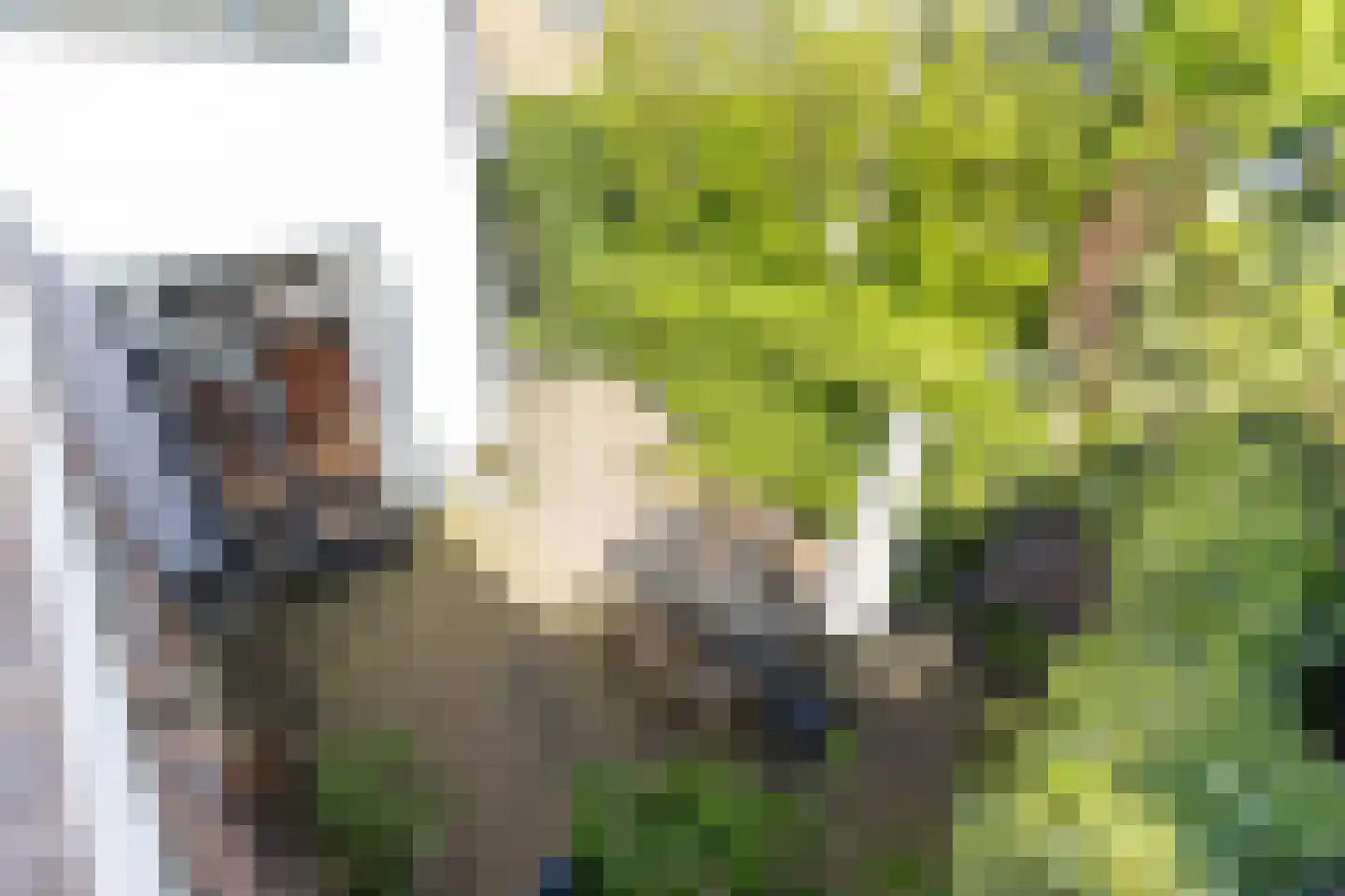 Iepenlaan 55 Bussum thumbnail 29