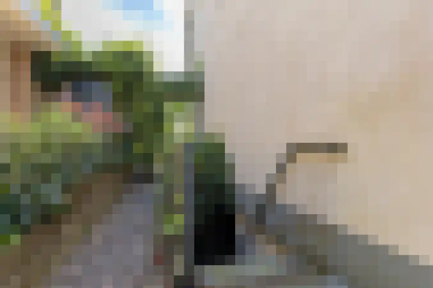 Iepenlaan 55 Bussum thumbnail 33