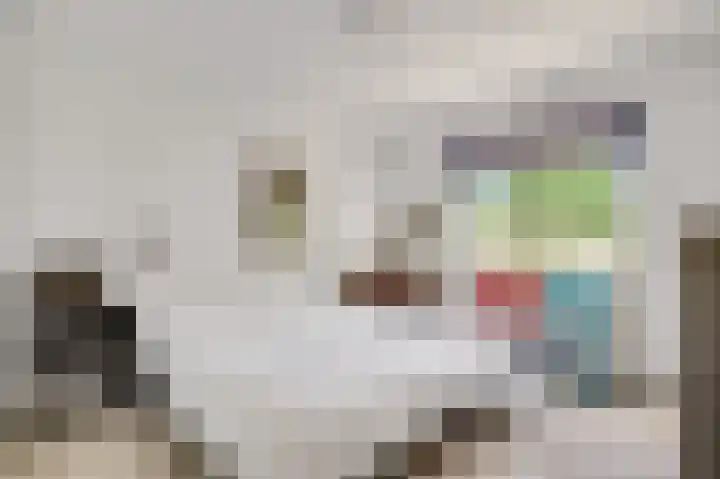 Iepenlaan 58 Bunde thumbnail 15