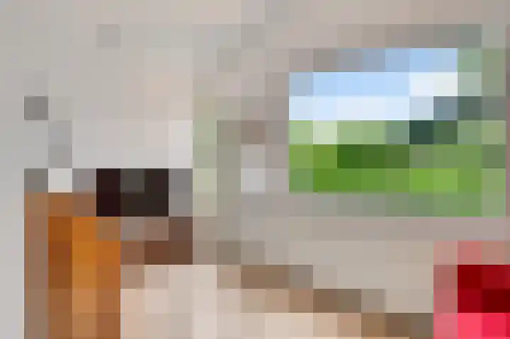 Iepenlaan 58 Bunde thumbnail 17