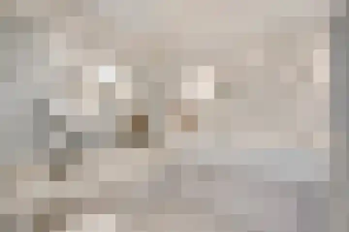 Iepenlaan 58 Bunde thumbnail 18