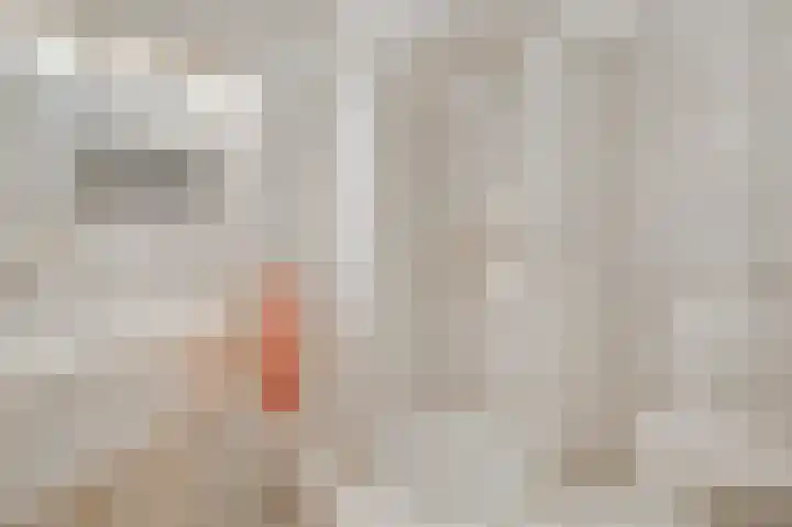 Iepenlaan 58 Bunde thumbnail 20