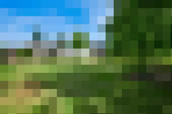 Iepenlaan 58 Bunde thumbnail 22