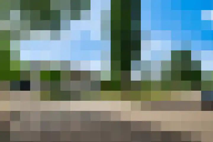 Iepenlaan 58 Bunde thumbnail 24