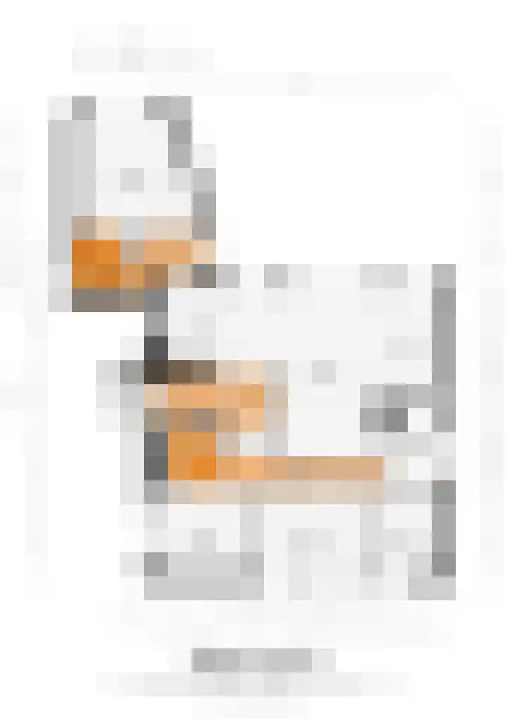 Iepenlaan 58 Bunde thumbnail 28