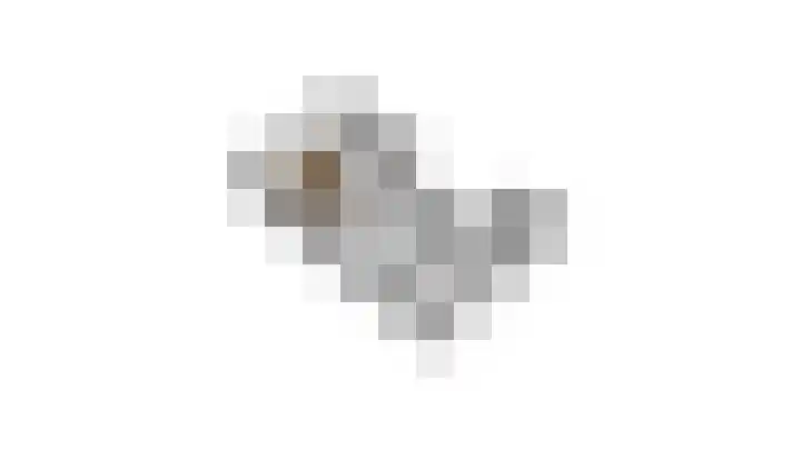 Iepenlaan 58 Bunde thumbnail 31
