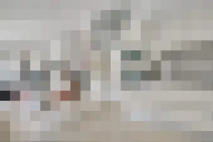 Iepenlaan 58 Bunde thumbnail 8