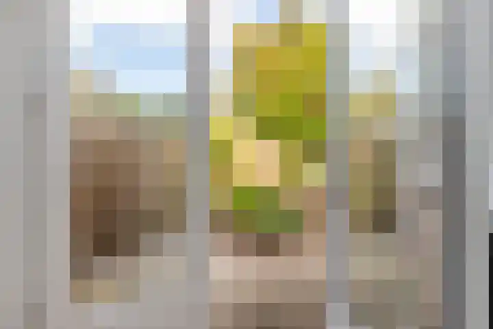 Iepenlaan 6 Beverwijk thumbnail 26