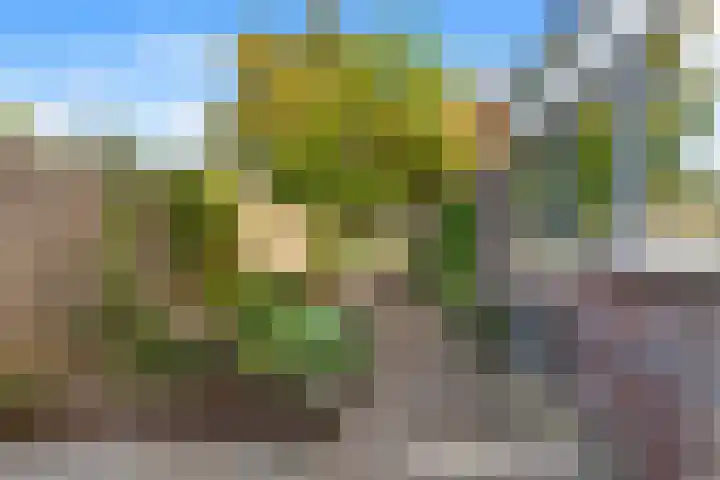 Iepenlaan 6 Beverwijk thumbnail 27