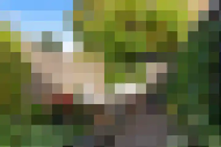Iepenlaan 6 Beverwijk thumbnail 28