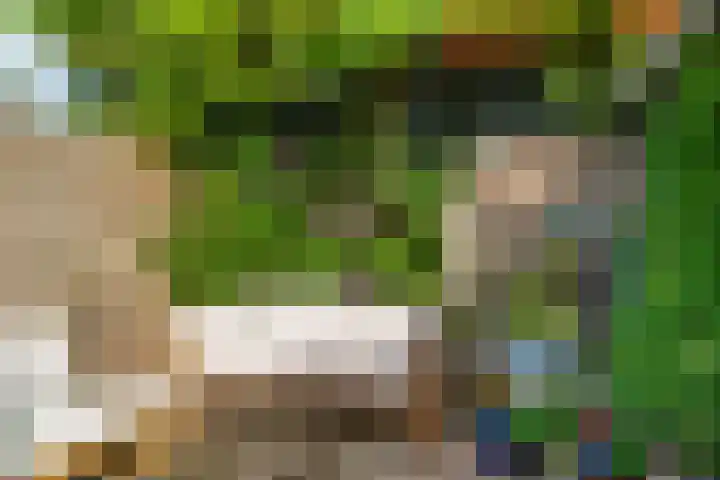 Iepenlaan 6 Beverwijk thumbnail 29