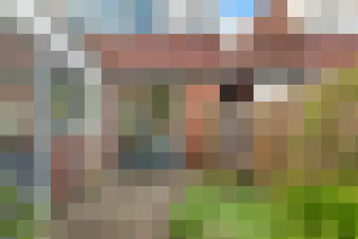Iepenlaan 6 Beverwijk thumbnail 31