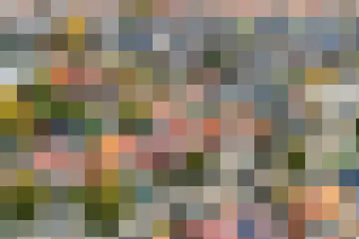 Iepenlaan 6 Beverwijk thumbnail 34