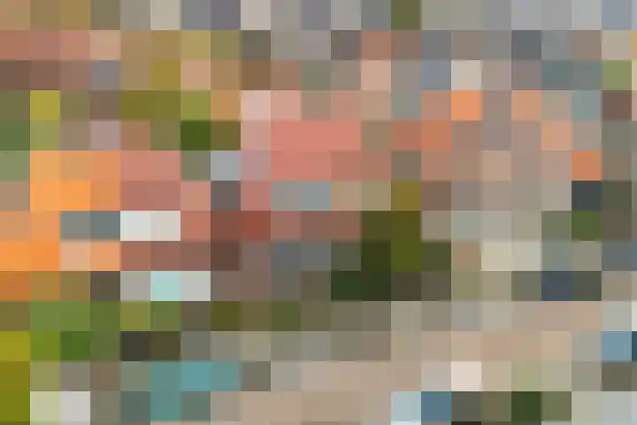 Iepenlaan 6 Beverwijk thumbnail 35