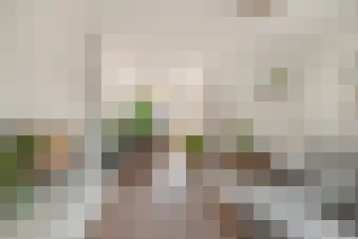 Iepenlaan 6 Beverwijk thumbnail 4