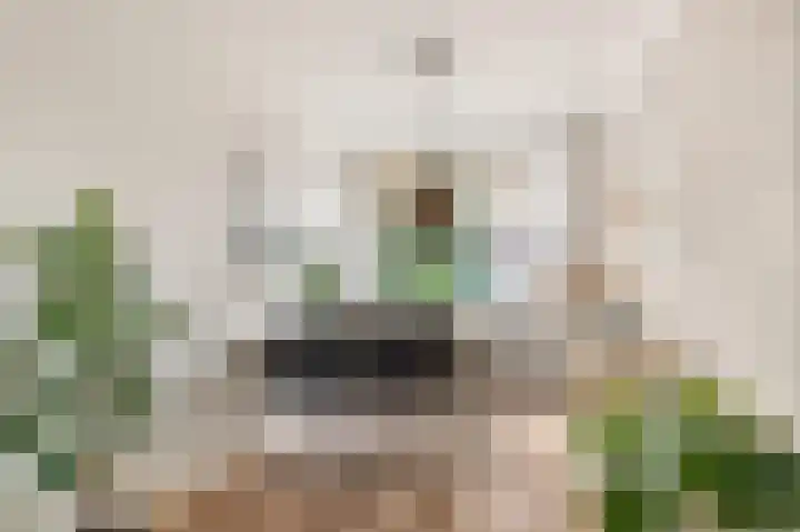 Iepenlaan 6 Beverwijk thumbnail 5