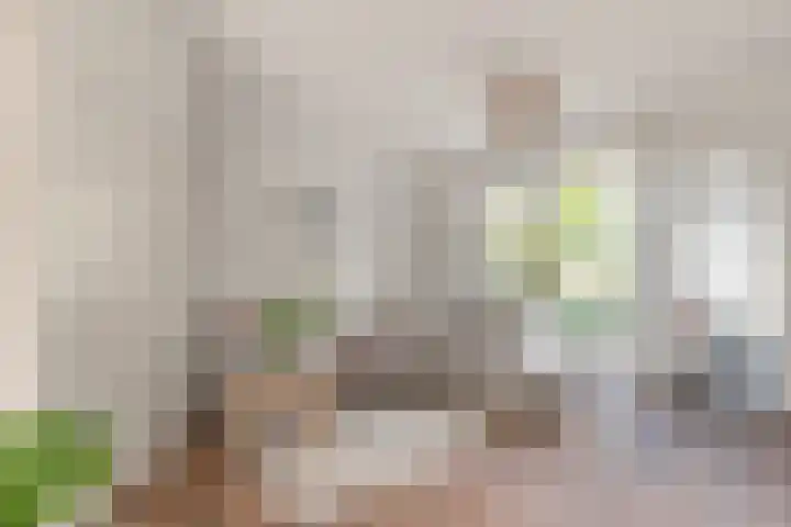 Iepenlaan 6 Beverwijk thumbnail 8