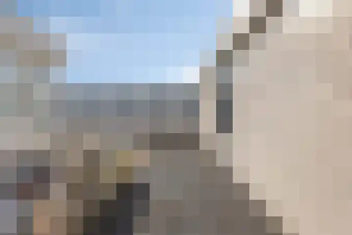 Iepenlaan 6 C Spijkenisse thumbnail 23
