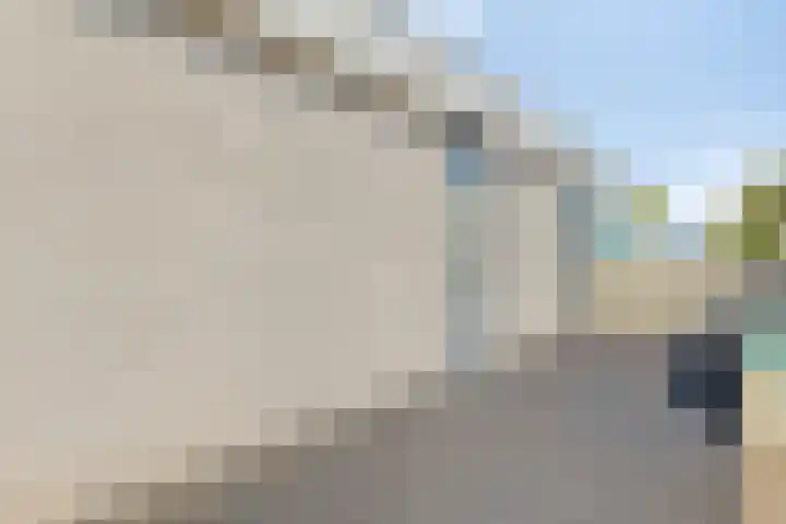 Iepenlaan 6 C Spijkenisse thumbnail 24