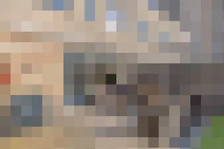 Iepenlaan 6 C Spijkenisse thumbnail 26