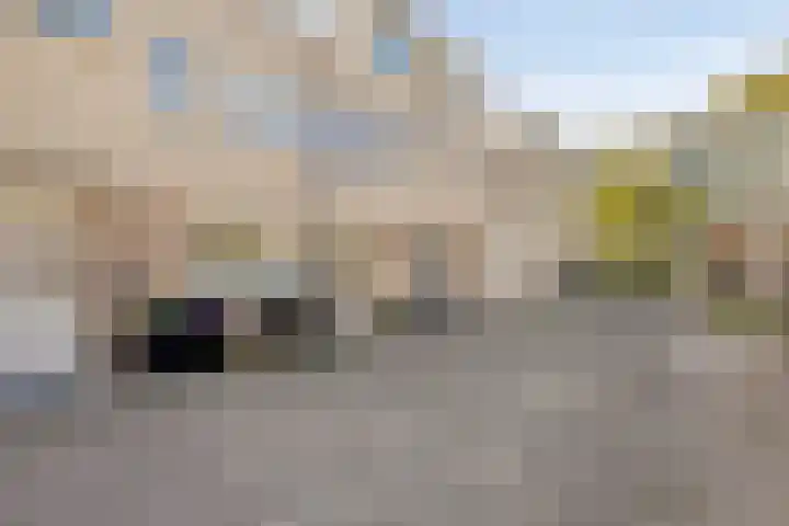 Iepenlaan 6 C Spijkenisse thumbnail 29