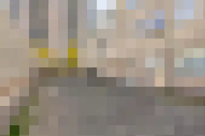Iepenlaan 6 C Spijkenisse thumbnail 30