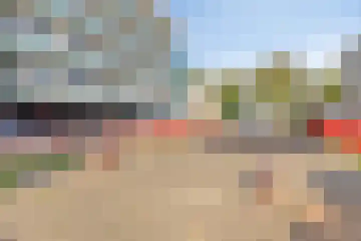 Iepenlaan 6 C Spijkenisse thumbnail 31