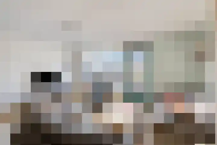 Iepenlaan 6 C Spijkenisse thumbnail 5