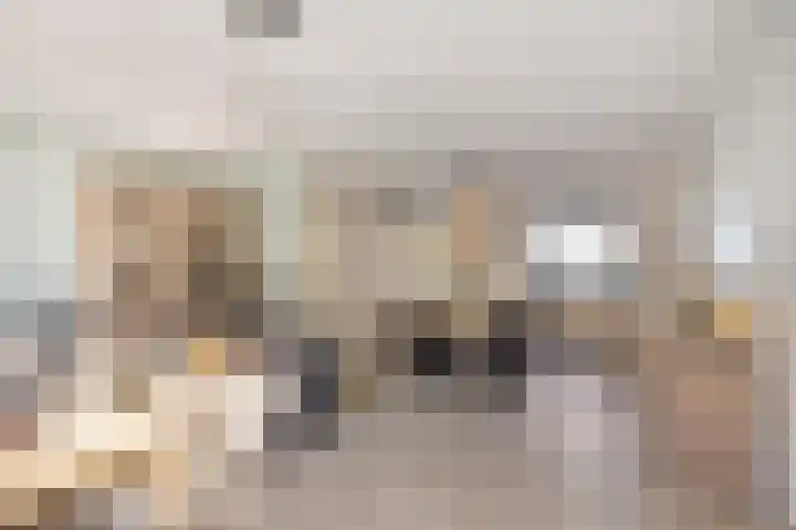 Iepenlaan 6 C Spijkenisse thumbnail 6