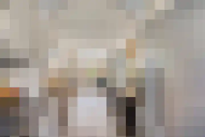 Iepenlaan 6 C Spijkenisse thumbnail 9
